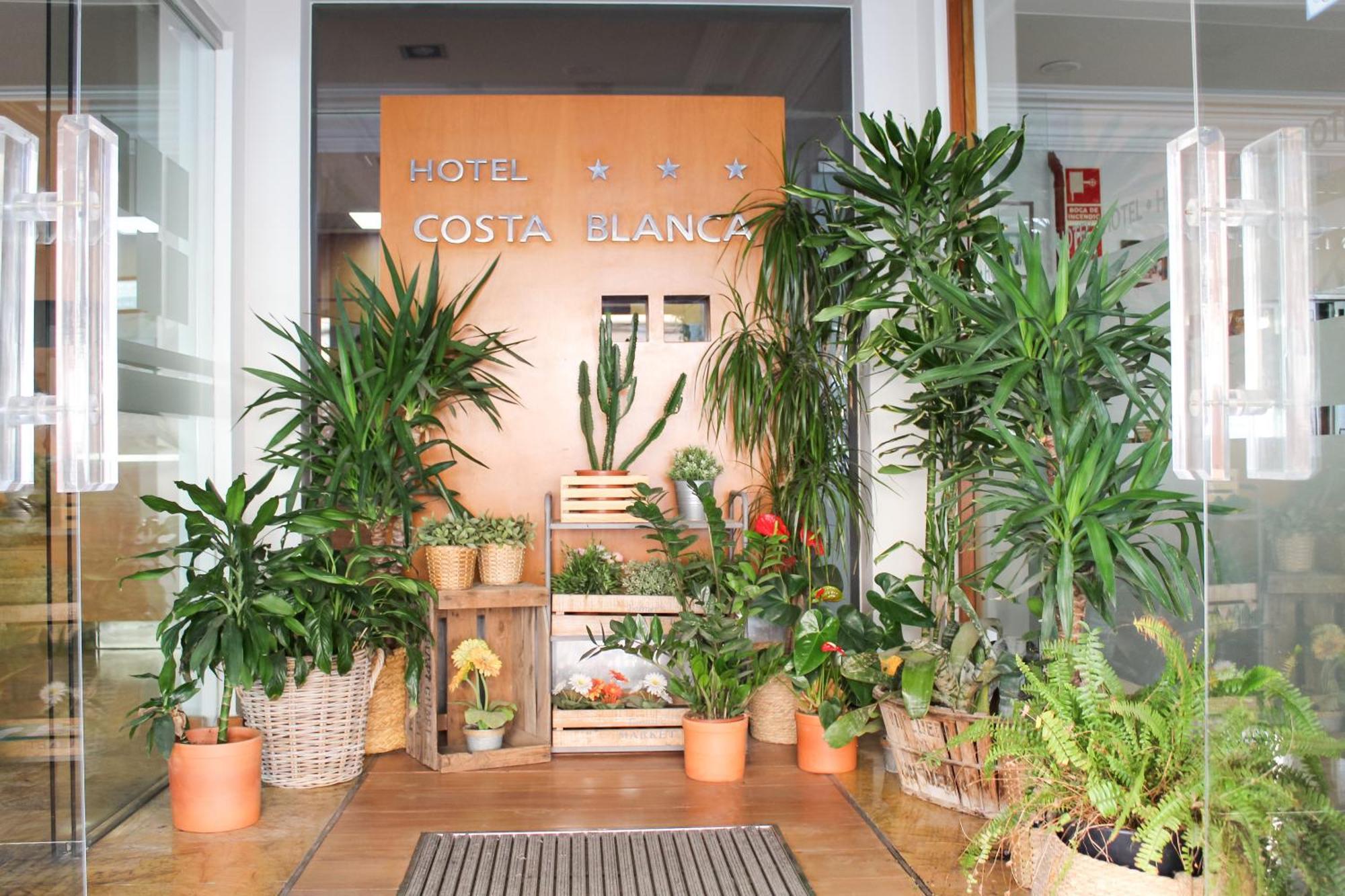 Hotel Mr Costa Blanca デニア エクステリア 写真